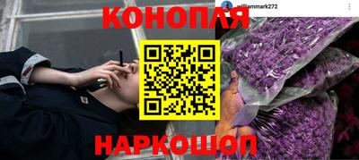 гашик Ставрополь