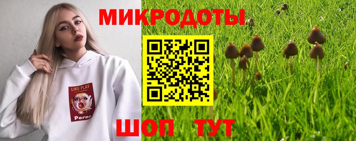 Галлюциногенные грибы MAGIC MUSHROOMS  Вход с VPN  Назарово  Псилоцибиновые грибы GOLDEN TEACHER 