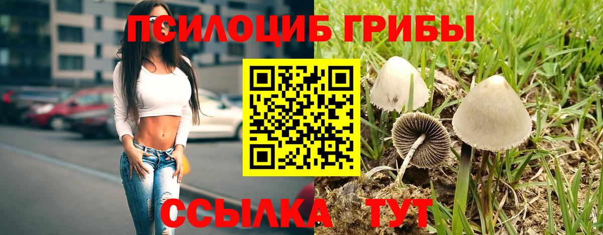 Галлюциногенные грибы MAGIC MUSHROOMS Назарово